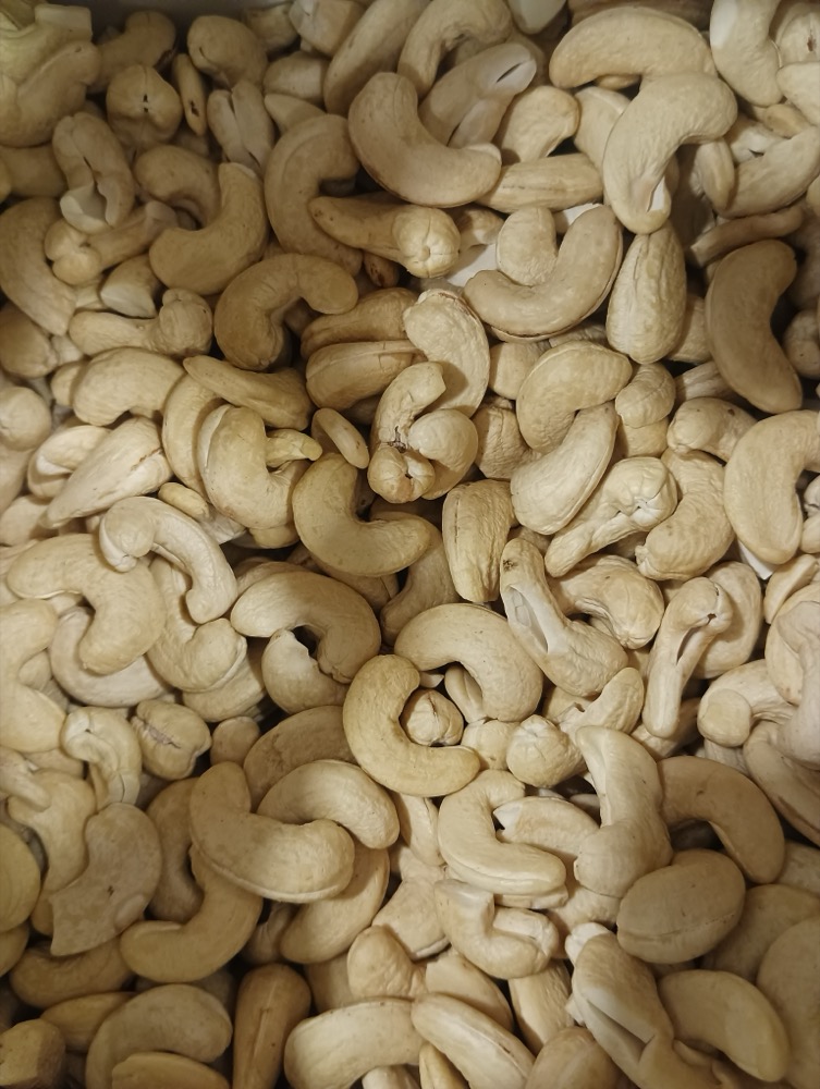 Processed Cashew Nuts