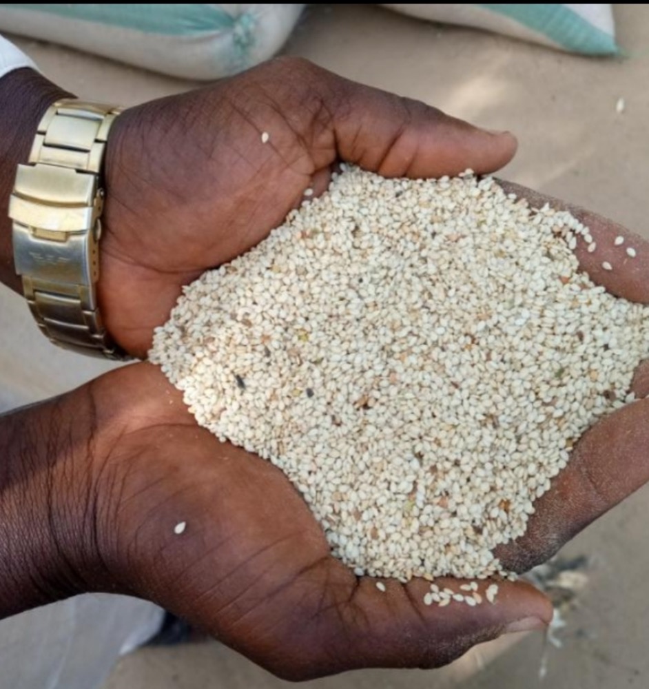 Sesame Seeds