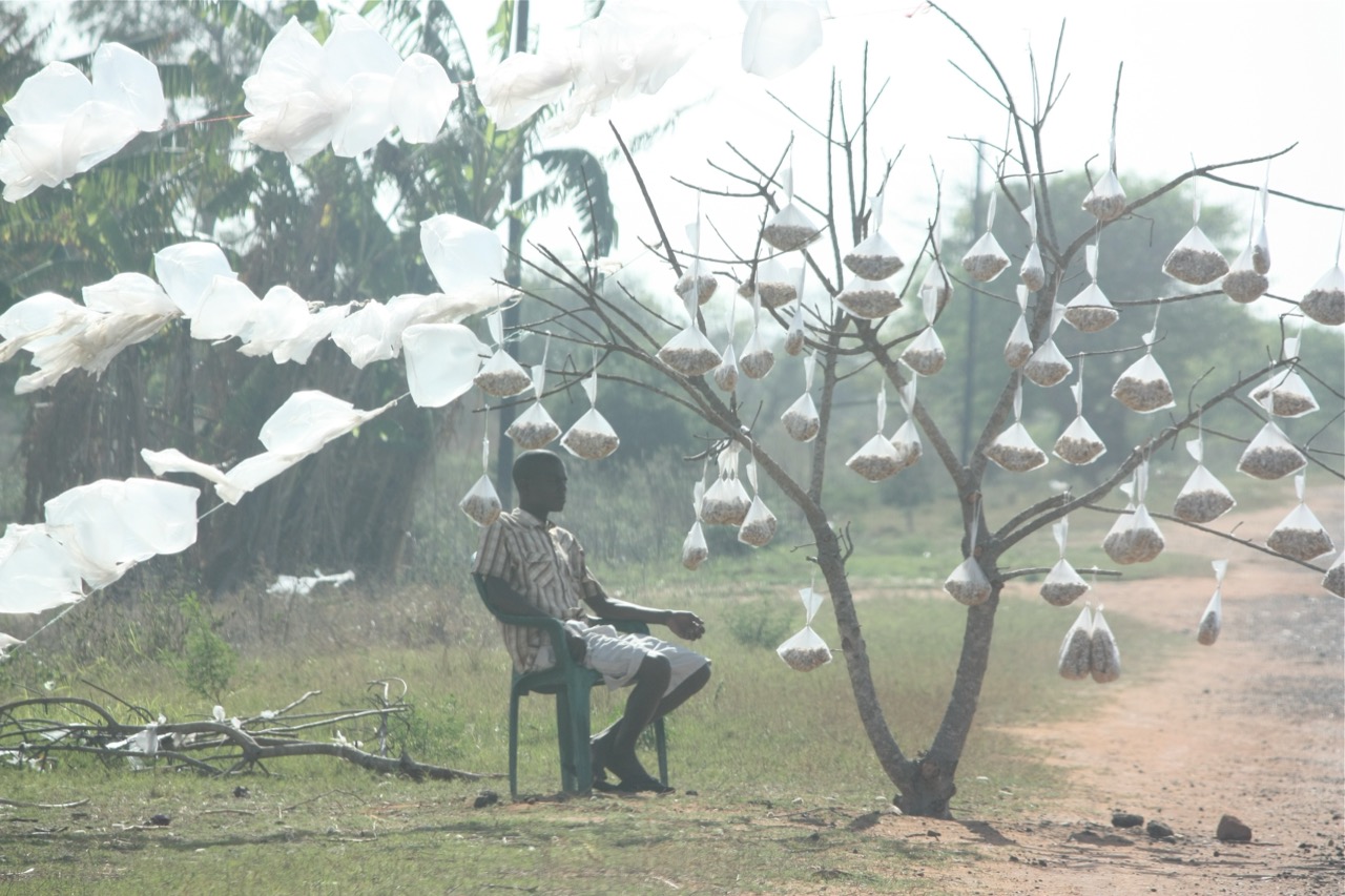 Agricultural commodities — La'dunni Farms